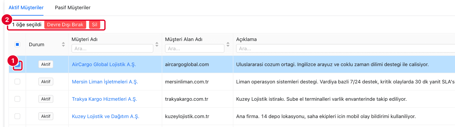 Toplu eylem şeridi